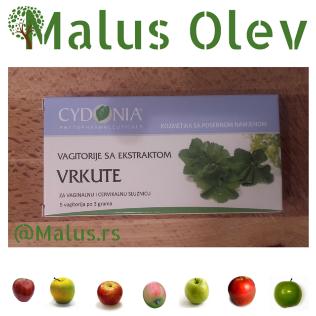 Malus_Olev's tweet photo. Virak, zbog svojih svojstava,smanjuje krvarenje naročito vezano za ženski reproduktivni sistem i deluje protivupalno https://t.co/2wHiL8Kdta