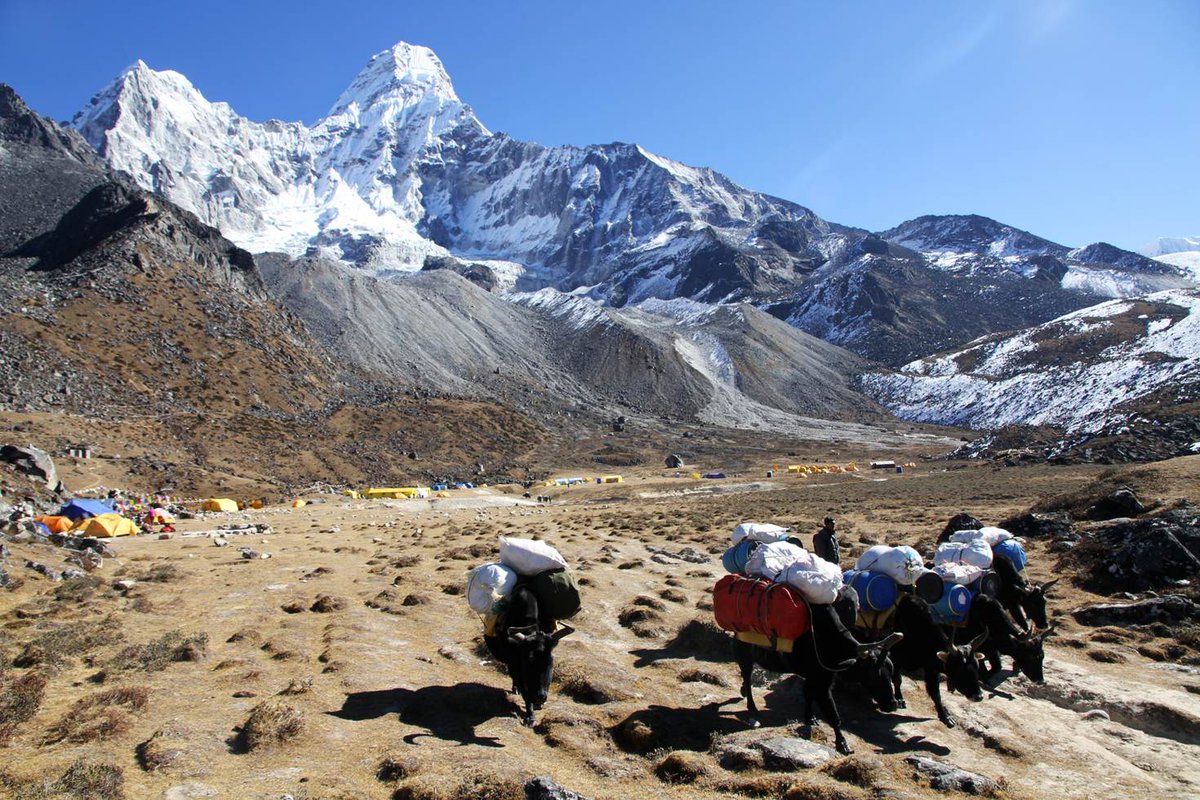 lonelyplanet's tweet photo. Get off the beaten path: Top 10 Detours off the #Everest trek https://t.co/bYM7g5q60l #lp #travel https://t.co/ljReLyXHkS