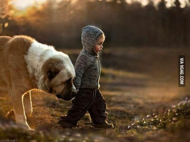 9GAG ❤️ Memeland tweet media