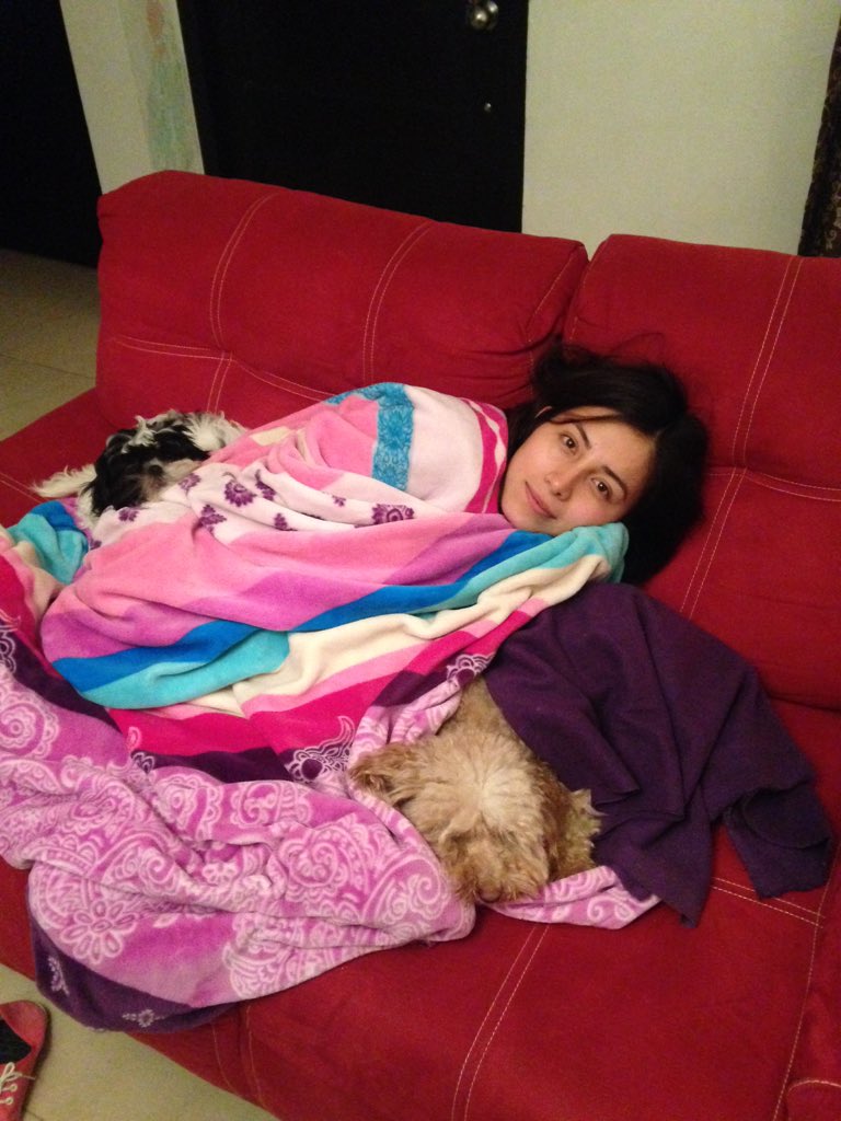 marletcastro's tweet photo. Tardes perfectas con mis dos amores 🐼🐻 https://t.co/BNgfMVhY6Q
