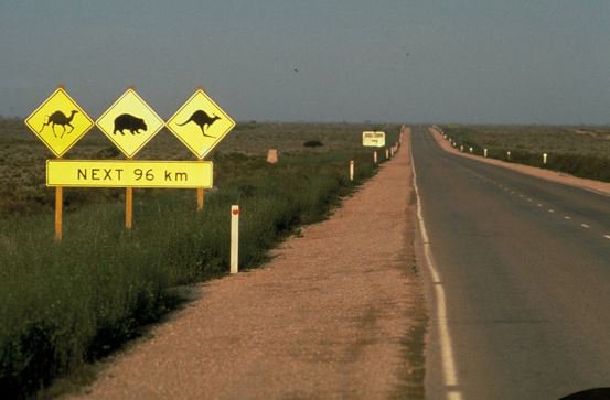 BeltAlert's tweet image. Everything you need to know about driving across the Nullarbor these holidays! ow.ly/VserW #roadsafety