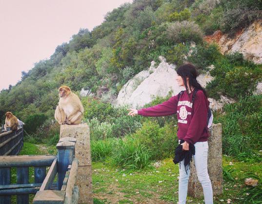 JenniferGumnt's tweet photo. Me: please love me 
Monkey: No. https://t.co/JMVHkBlWMr