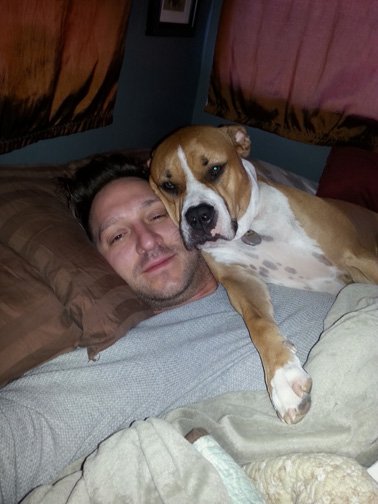 barefootauthor's tweet image. Best travel companions ever...
#morningsnuggles #pitbullsrock #dontblamethebreed #rollingunderthestars #rvliving