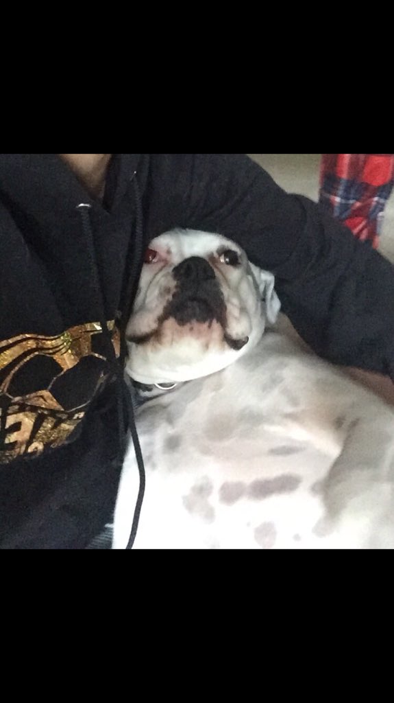trupup7000's tweet photo. when u already high and u see ur homie rollin another blunt https://t.co/xxuKRv6CHv