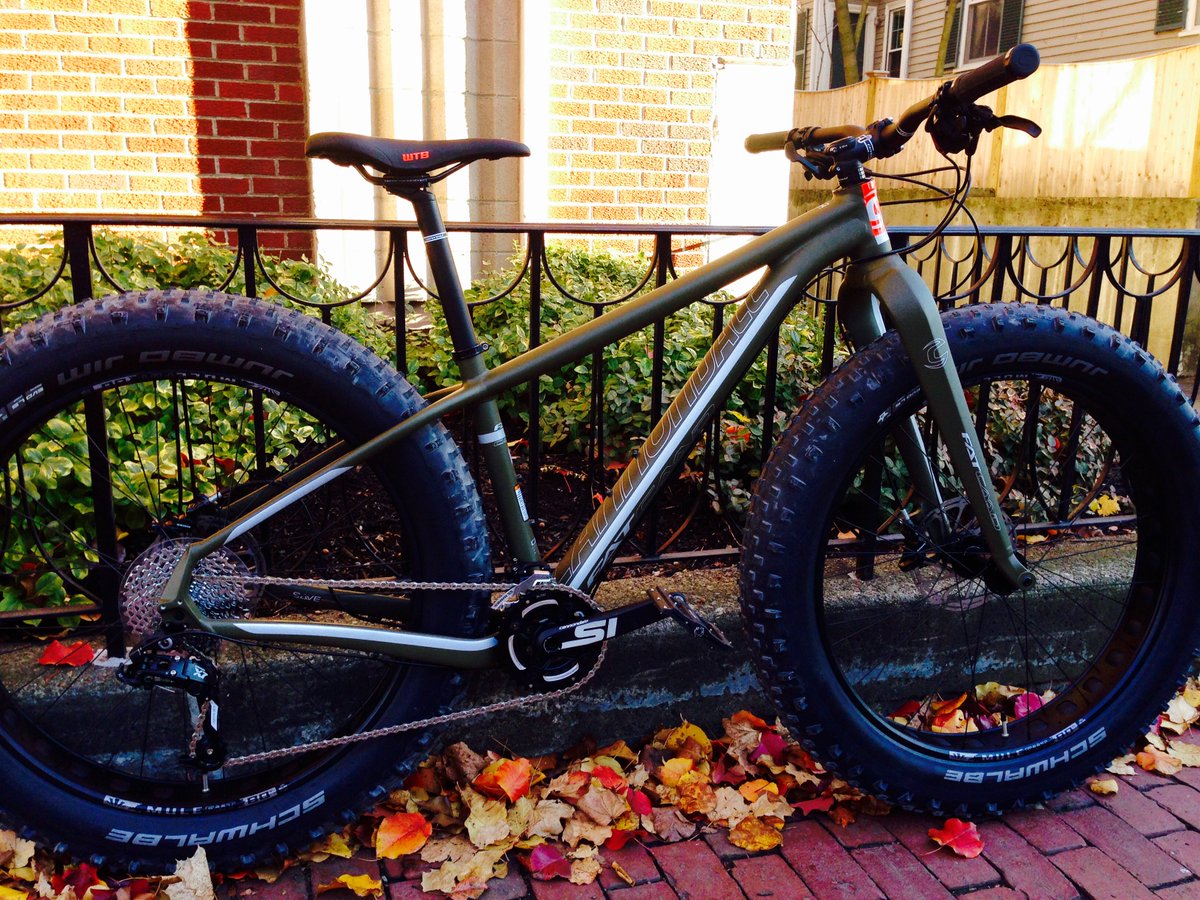 cannondale fat caad 2