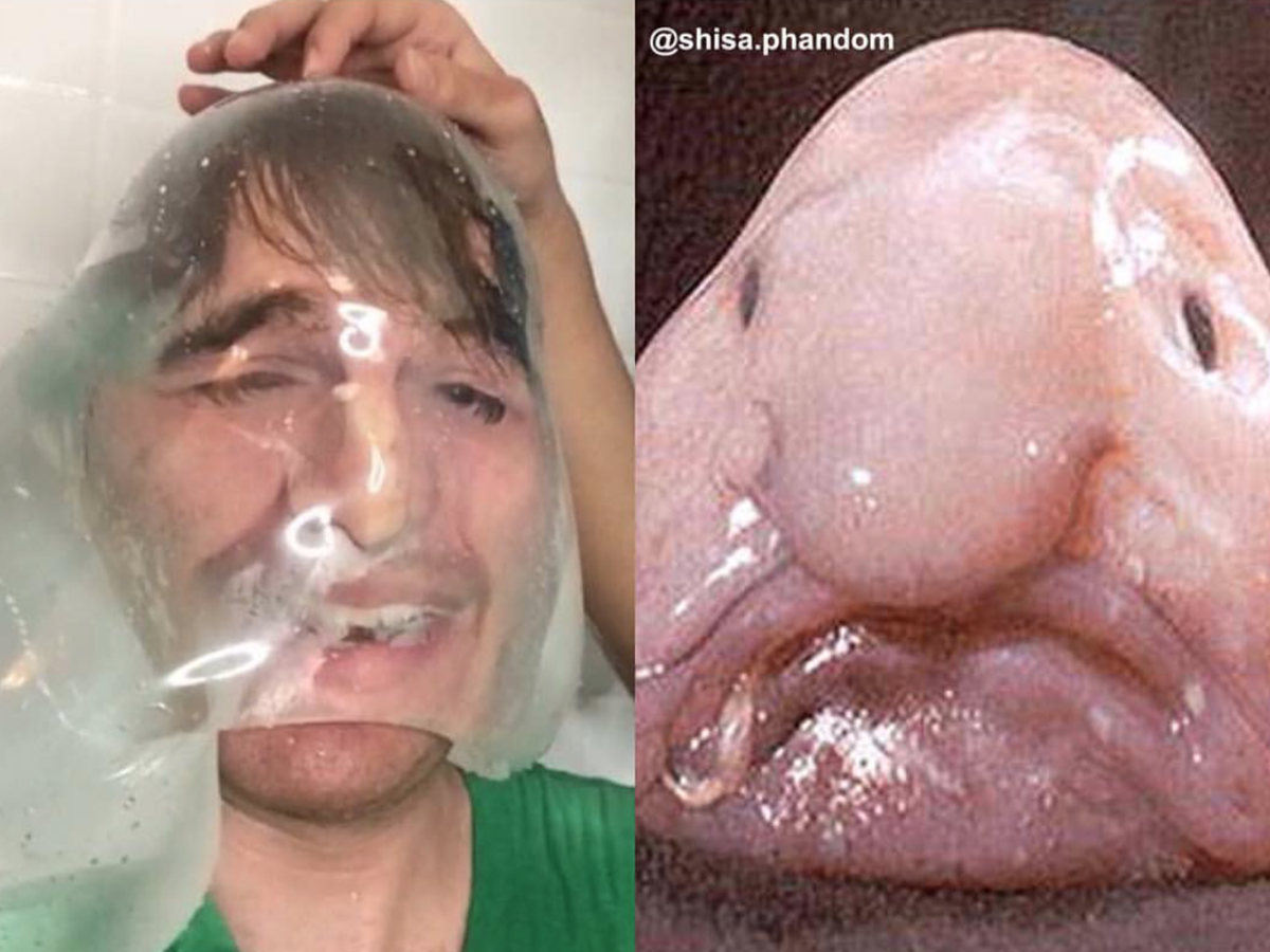shanedawson's tweet photo. **THE CONDOM CHALLENGE!** https://t.co/zf4rChlov1 RT ? :) https://t.co/HSRtNkkzNz