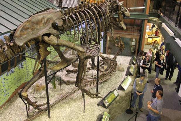 IVANtheTrex's tweet photo. #SundayFunday at @WorldTreasures! https://t.co/P04ASlLRQl