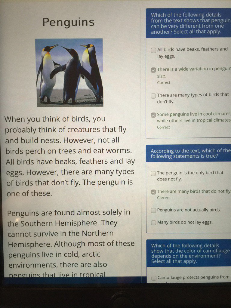 MrsD3rdGraders tweet media