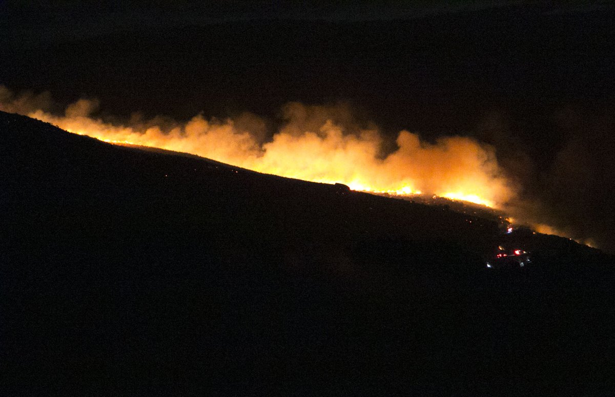 Brian Epstein tweet media