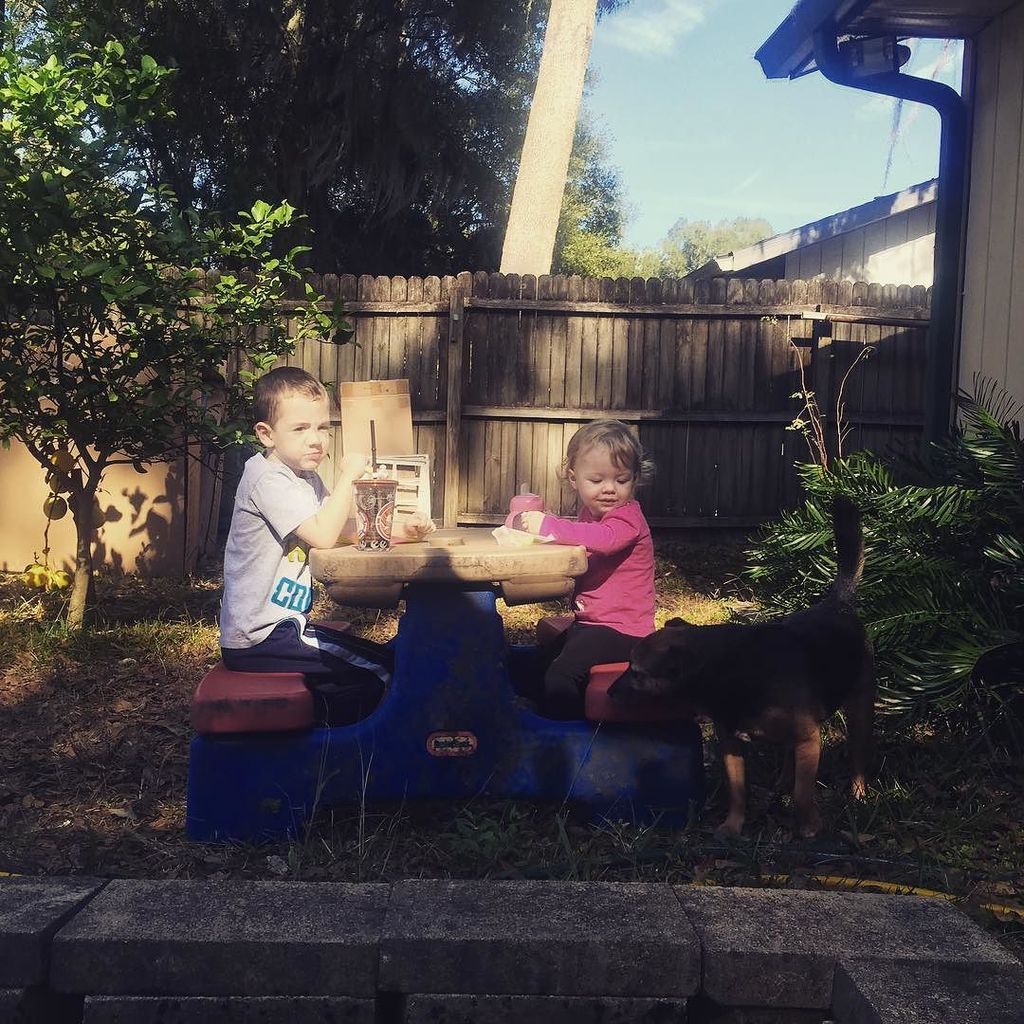 amandaaustin's tweet photo. It's impossible to find good workers these days. All they want to do is take snack breaks. #sundayfunday #austinfam… https://t.co/dnEAyj43i0