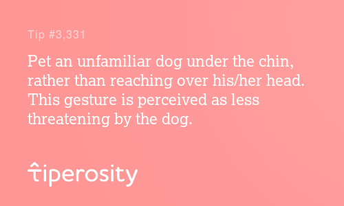 PetsTipero's tweet image. Pet an unfamiliar dog under the chin, rather than reaching over his/her head.... #dogs tiperosity.com/tips/3331