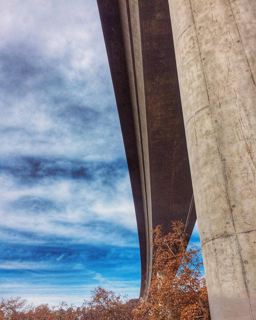 stepharriaga's tweet image. Sunday stroll with the pup 🐶 Maya walked 4 miles today, so proud of her ☺️ #neverstopexplo… ift.tt/1PN4xlq