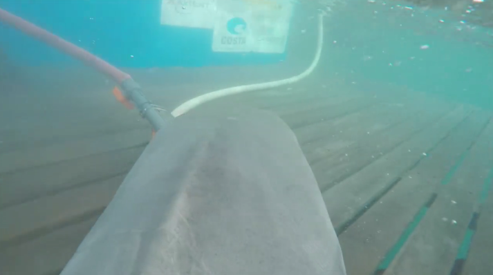 OCEARCH's tweet photo. .@Meredith__Scott @matt_sindelar Check out Operation Shark Cam: https://t.co/tKGoZpFxTB @GoPro #ExpeditionWA https://t.co/MjVliPrqWR