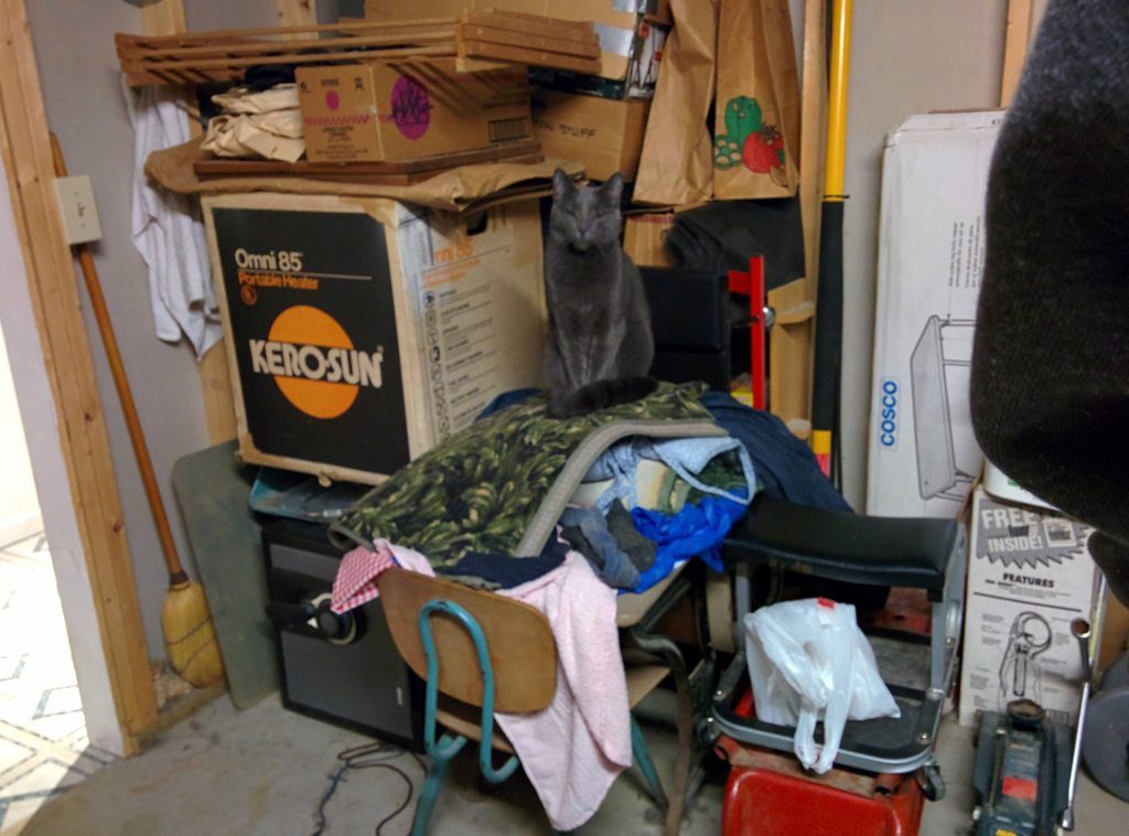 WeddinginHD's tweet photo. My Buddy Likes to Watch Me Build #skybanzai https://t.co/rYQDzDvj55 https://t.co/w7LYAOWrPA