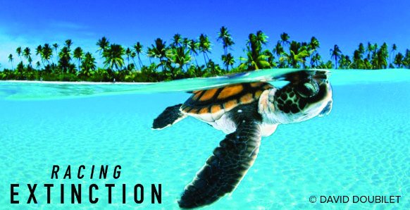 Tell world leaders to take action on #climatechange ! #COP21  #StartWith1Thing > actionsprout.io/18A676