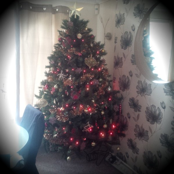 ChelseaJessica's tweet photo. And now.....its christmas. #mostwonderfultimeoftheyear https://t.co/dDY1rzQkRX