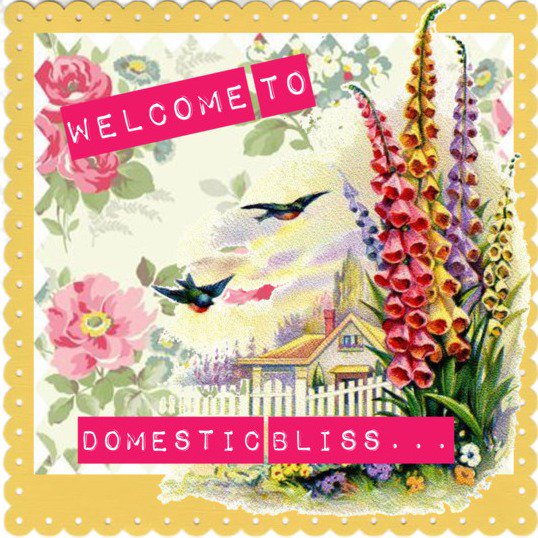 brocantehome's tweet image. Housekeeping 365 Planner brocante-home.myshopify.com/products/house… #scrub #puttery