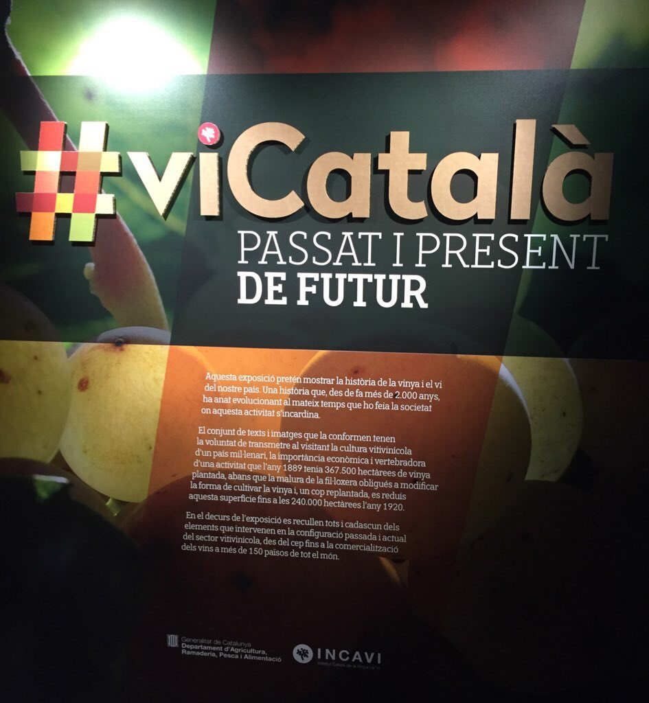 Avui #collita15tv3 ens ha mostrat 2 de les 12 D.O. de casa, al <a href="/BornCC/">Born Centre Cultural</a> teniu exposició per conèixer les altres