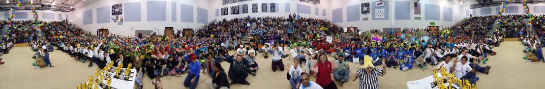 swaynedd tweet media