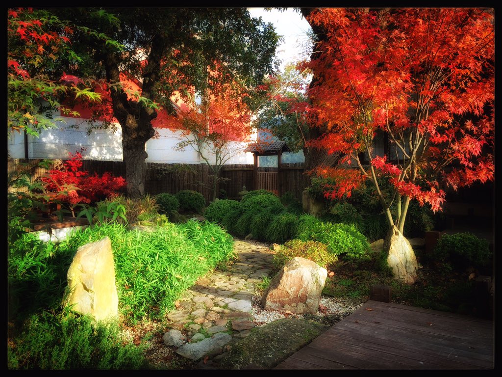 IBJapanGarden's tweet photo. Working at my #japanesegarden is one of the pleasures in life that I really treasure.  #today #myjapanesegarden https://t.co/dTIewsoeft