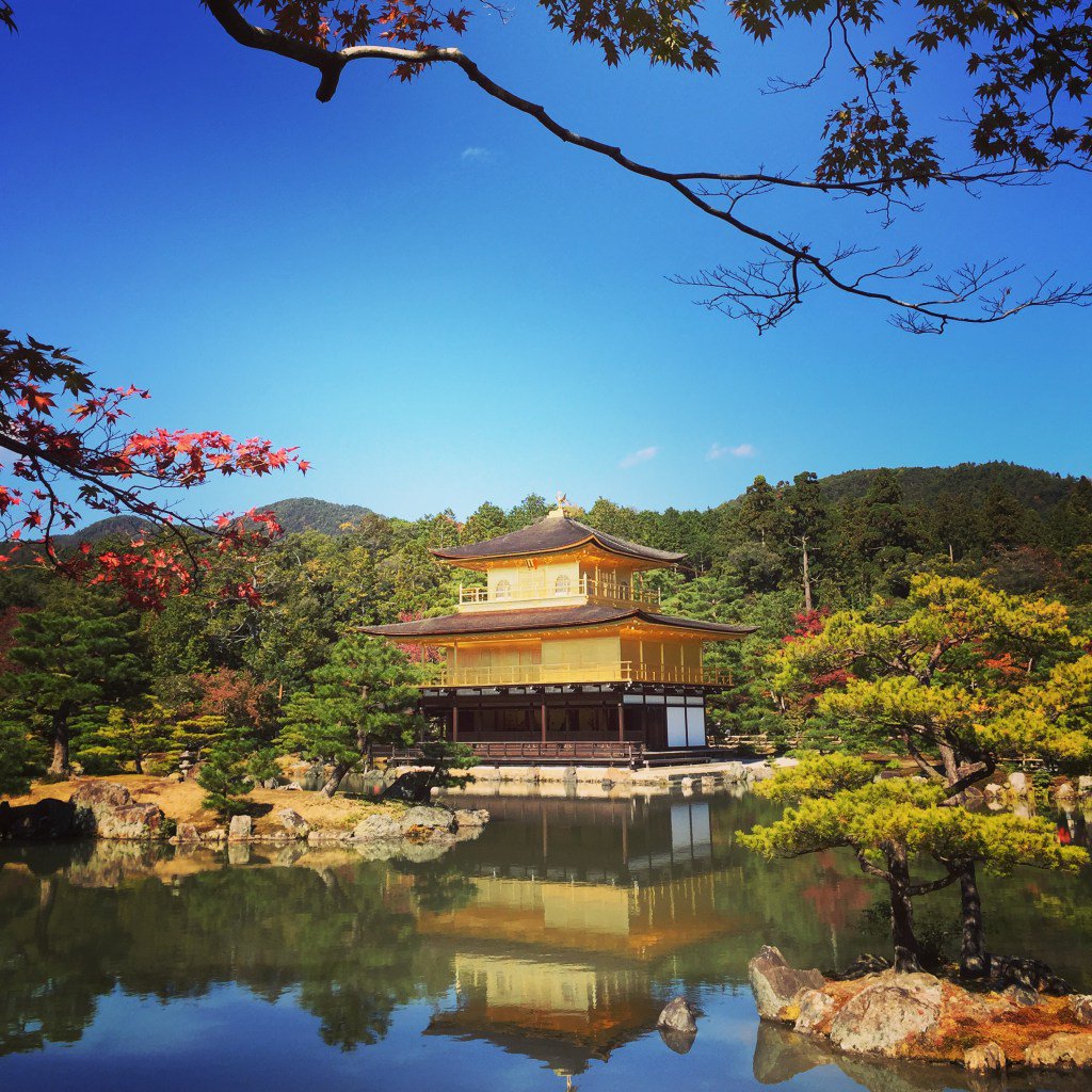 SFDropouts's tweet photo. Americans in #Japan, Part 4: Seven days, seven Japanese cities, GO! #travel #digitalnomad https://t.co/G9LnJMuGu4 https://t.co/inlmSXfMJg