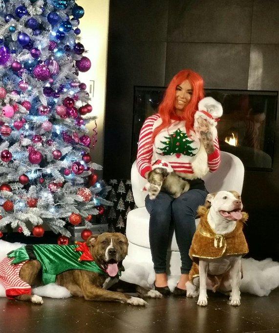 Behind the scenes from animal wrangling for Christymas pictures today https://t.co/ykfFxAkcpg<a href="/tag/tupacotuesday"class="tags"><span>#tupacotuesday</span></a>