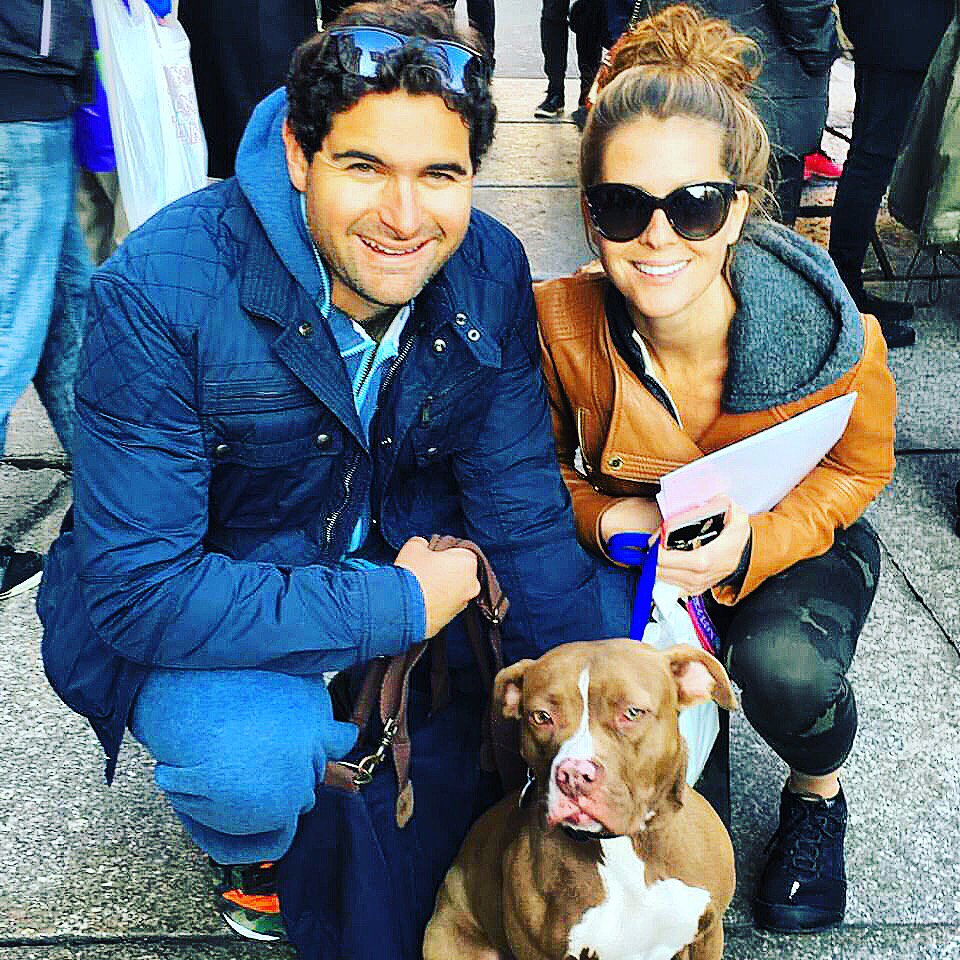 BlairBrandt's tweet photo. Welcome to the family, Georgie! #rescued @margitweinberg https://t.co/axRg0JbFmP