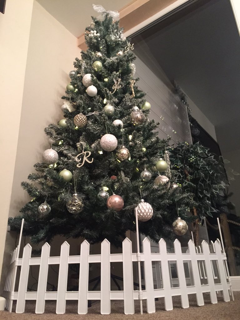 Harry_Hough's tweet photo. Our #Christmas Tree is amazing!! 🌲👍🏻 https://t.co/IaTNPF9rIb