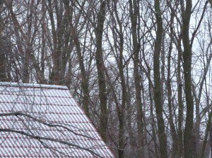 Called to birth new life acourseoflove.com/called-to-birt…