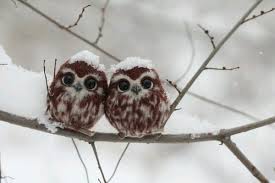 myselfandhealth's tweet photo. A FRIEND KNOWS WHEN YOU DON'T WANT TO TALK, BUT STAYS ANYWAY IN CASE YOU CHANGE YOUR MIND! #bipolar #bpd #depression https://t.co/FwRhR0pq2r