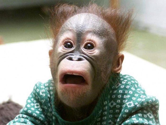 DJWeeks's tweet image. So they were terrorists or not Mr. President.