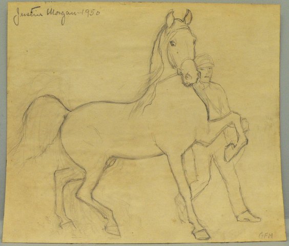 MorganMuseum's tweet image. Sweet sketch of Figure/Justin Morgan. buff.ly/1O8dG1W