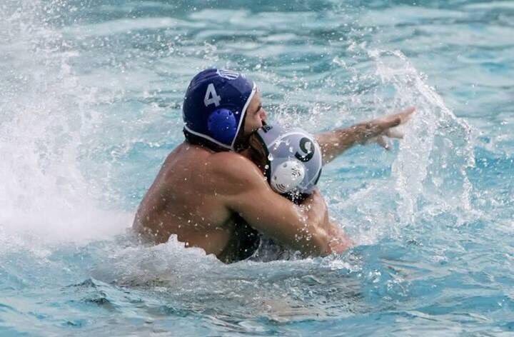 Polo Playa tweet media