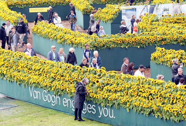 artoftheserpent's tweet photo. 125,000 sunflowers in memory of Van Gogh https://t.co/5DUdd06rvN