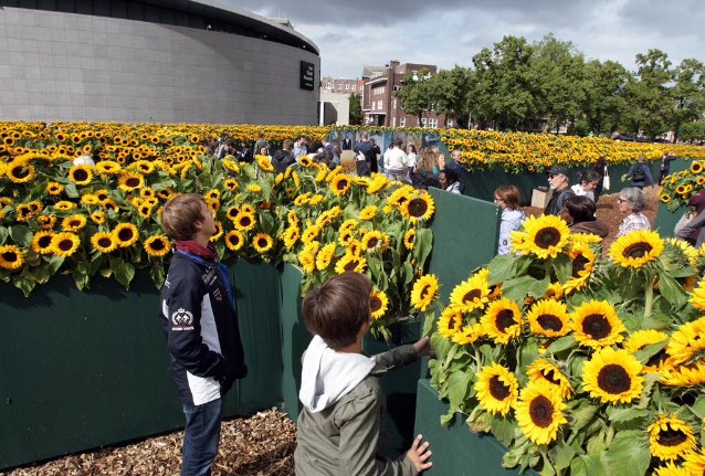 artoftheserpent's tweet photo. 125,000 sunflowers in memory of Van Gogh https://t.co/5DUdd06rvN