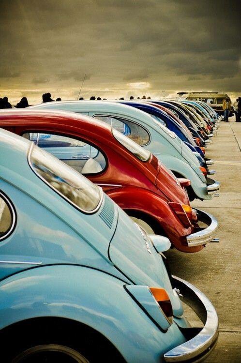 FamousCarsBikes's tweet photo. Bug Love ππ #FamousInsurance #Famousforchoice #famous #Gotyoucovered #cars #bikes #classiccar #roadbike #dirtbike https://t.co/8LHmVNo0jc
