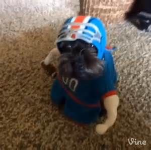 MitchDMS's tweet photo. #BrownerReplacements https://t.co/v81YpIHqwj