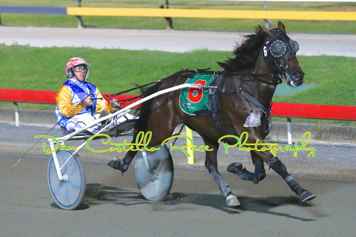 Dan Costello (@danracingwrap) on Twitter photo Duke Of The Moment with <a href="/McmullenPeter/">peter mcmullen</a> took out the Trotters Hcp @AlbionParkHRC on Sat Night for <a href="/turpinmcmullen/">TurpinMcMullenRacing</a> Duke Of The Moment with <a href="/McmullenPeter/">peter mcmullen</a> took out the Trotters Hcp @AlbionParkHRC on Sat Night for <a href="/turpinmcmullen/">TurpinMcMullenRacing</a>