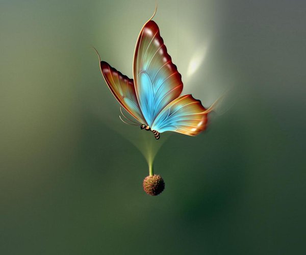 gede_prama's tweet photo. The more sincere your love, the stronger your soul wings
https://t.co/w45WpLfhlg
https://t.co/krlFSbj75C