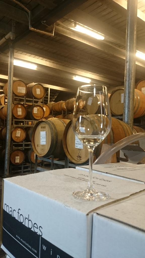 WinesToTheStars's tweet photo. Lovin @MacForbes and his #Riesling today!  @acdc tour of @yarravalley @yvwines @WineYarraValley https://t.co/N6nC78gB2B