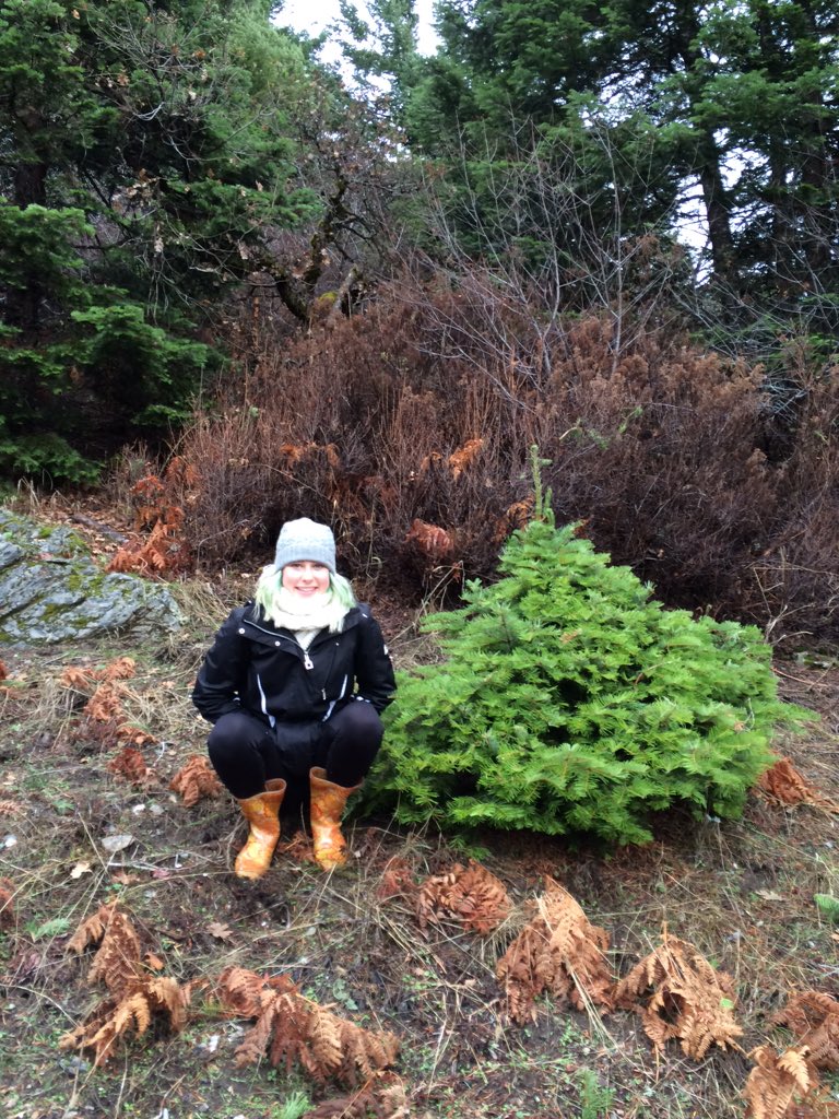 literallymelon's tweet photo. this is the tree I really wanted but my mom said it was too wide #stopfatshaming #treequality #love https://t.co/PwOdgH4gzp