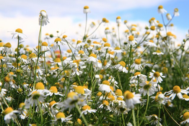 Mgr 20/20 tweet media