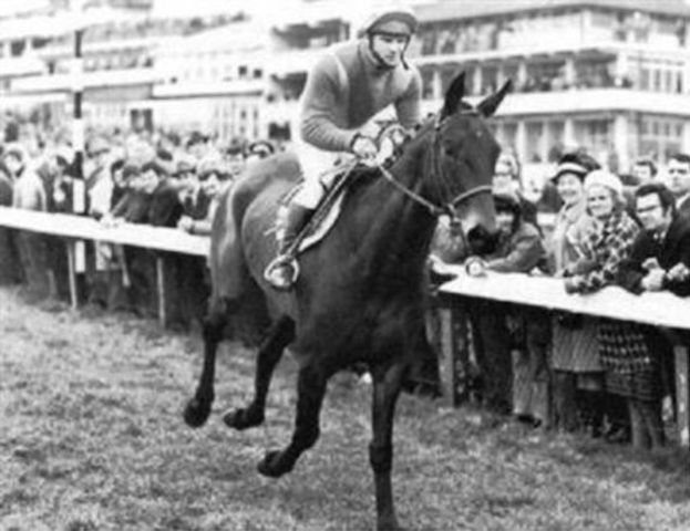 AnaglogsDaughtr's tweet photo. Dec 7, 1973
@pitmacbooks should have an easy win on Bula(Pic with P.KEL)
Record 32,000Gns paid for Tudor Melody foal https://t.co/9gfgOQtHhg