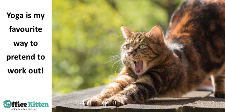 OfficeKitten's tweet image. #ExerciseProblems