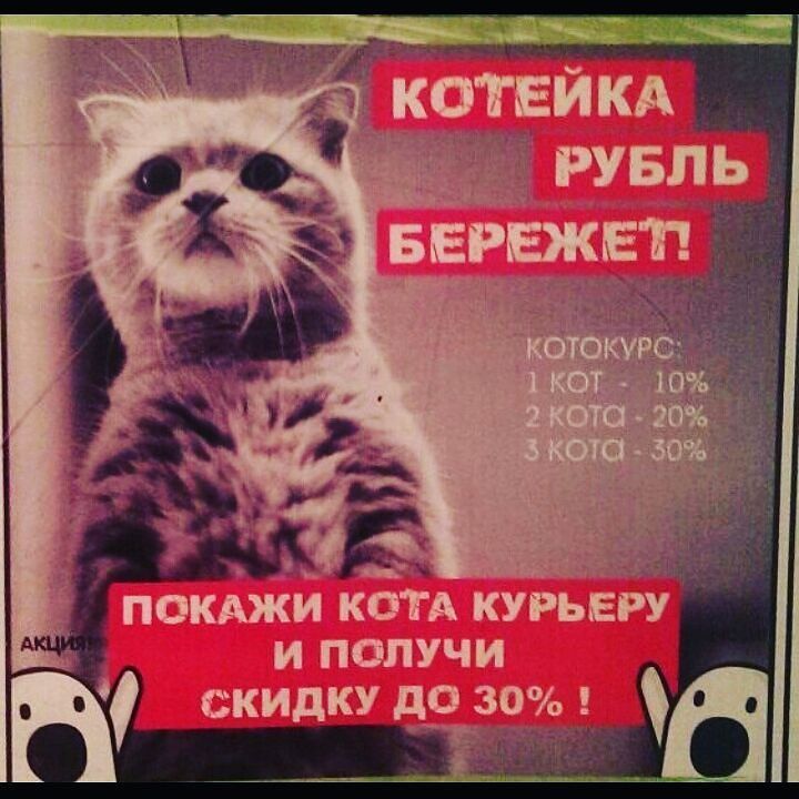 Смешные картинки акция, уроке смешные
