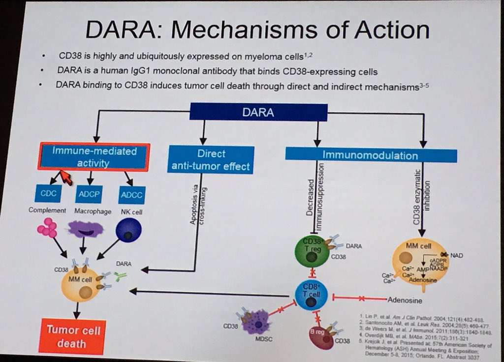 Florian Schönharting (1Schonharting) Twitter