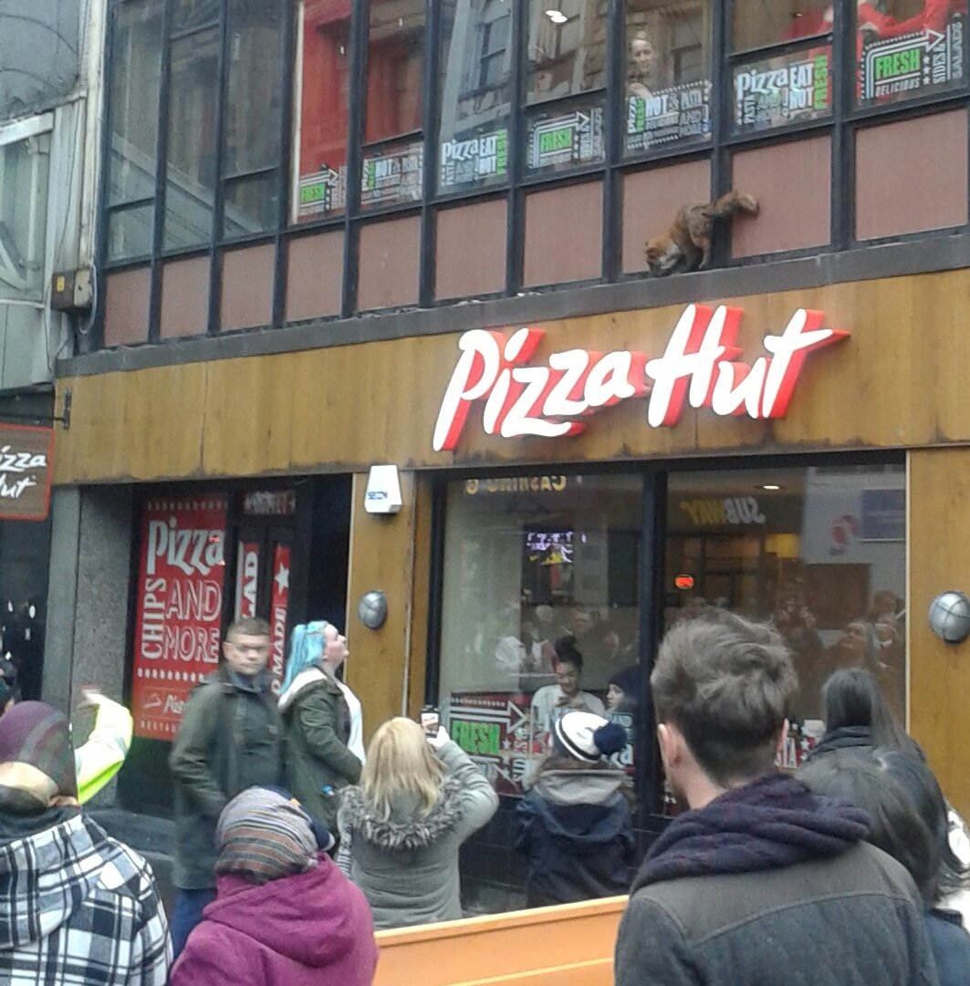 Argyle St comes to a halt as blue haired woman talks fox down from Pizza Hut fascia.