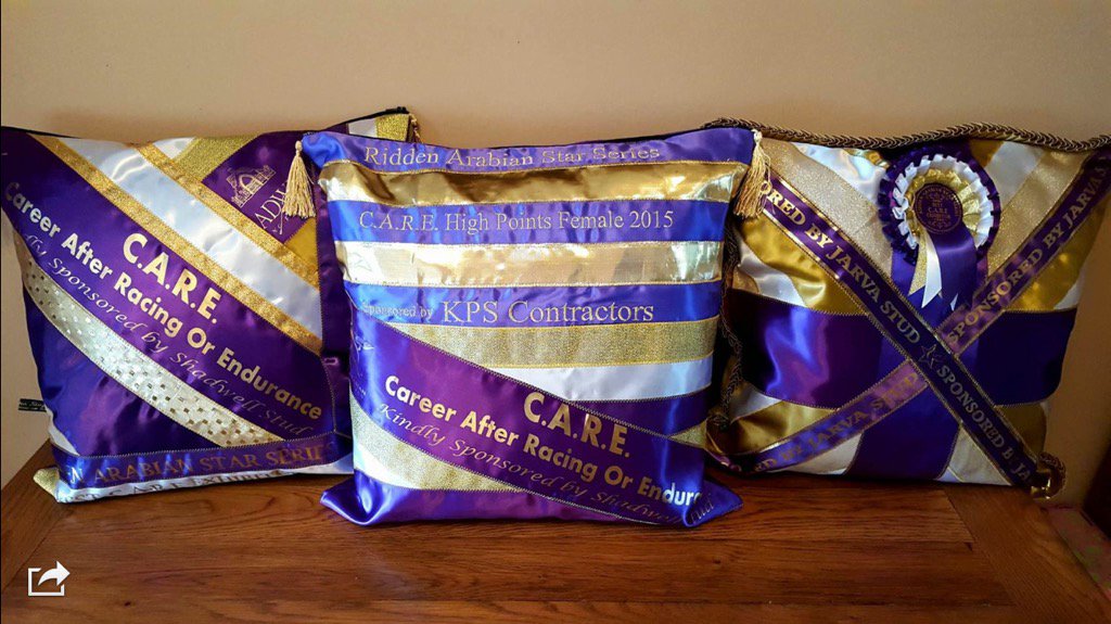 RiddenArabian's tweet photo. @ShadwellStud our 2015 exhibitors loved their Shadwell sponsored sashes so much they made them into cushions! https://t.co/m6y8HYIZC5