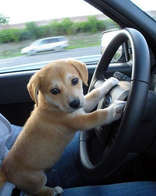 It's monday, lets drive to work! XO