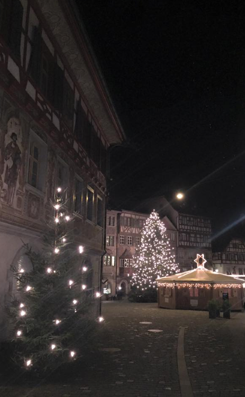 Daniela_Baer's tweet photo. Märlihaft, festlich, #schweizerisch: Markt Stein a. Rh. ab 11.12. https://t.co/Misax8WHZN @SH_land https://t.co/Bu7dO82mvg